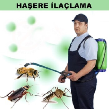 Çorum Böcek İlaçlama